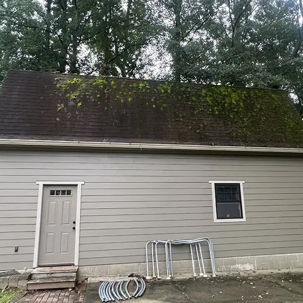 Before: Soft Washing Shed Roof To Clean And Remove Mildew