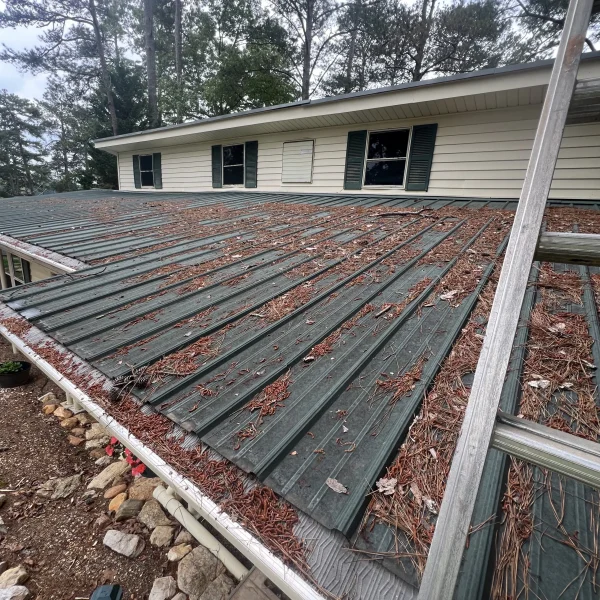 Before: Pressure Washing And Debris Removal On A Roof